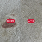 Red Wine and Coffee Stain Remover